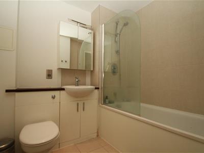 Picture 7